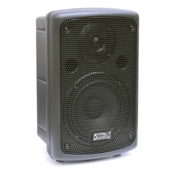 Акустична система Soundking FP208A