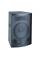 Акустическая система Soundking FQ013A