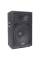 Акустическая система Soundking J215A
