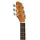 Акустическая гитара STAGG G SA25 A SPRUCE