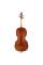 Віолончель STENTOR 1102/A STUDENT I CELLO OUTFIT 4/4
