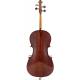 Віолончель STENTOR 1102/C STUDENT I CELLO OUTFIT 3/4