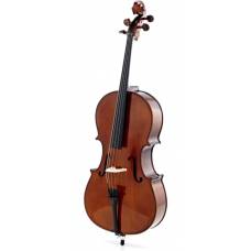 Виолончель STENTOR 1102/E STUDENT I CELLO OUTFIT 1/2
