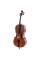 Виолончель STENTOR 1102/E STUDENT I CELLO OUTFIT 1/2