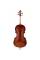 Виолончель STENTOR 1102/E STUDENT I CELLO OUTFIT 1/2