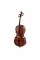 Виолончель STENTOR 1102/F STUDENT I CELLO OUTFIT 1/4