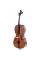 Виолончель STENTOR 1108/A STUDENT II CELLO OUTFIT 4/4