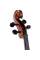 Виолончель STENTOR 1108/A STUDENT II CELLO OUTFIT 4/4