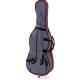 Віолончель STENTOR 1108/A STUDENT II CELLO OUTFIT 4/4