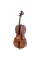 Виолончель STENTOR 1108/C STUDENT II CELLO OUTFIT 3/4