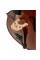 Виолончель STENTOR 1108/E STUDENT II CELLO OUTFIT 1/2
