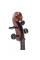 Виолончель STENTOR 1108/E STUDENT II CELLO OUTFIT 1/2