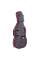 Виолончель STENTOR 1108/E STUDENT II CELLO OUTFIT 1/2