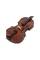 Скрипка STENTOR 1400/E STUDENT I VIOLIN OUTFIT 1/2