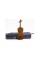 Скрипка STENTOR 1400/E STUDENT I VIOLIN OUTFIT 1/2