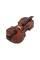 Скрипка STENTOR 1400/F STUDENT I VIOLIN OUTFIT 1/4