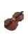 Скрипка STENTOR 1400/G STUDENT I VIOLIN OUTFIT 1/8