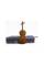 Скрипка STENTOR 1400/J STUDENT I VIOLIN OUTFIT 1/32