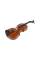 Скрипка STENTOR 1500/C STUDENT II VIOLIN OUTFIT 3/4