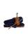Скрипка STENTOR 1500/C STUDENT II VIOLIN OUTFIT 3/4