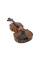 Скрипка STENTOR 1500/E STUDENT II VIOLIN OUTFIT 1/2