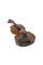Скрипка STENTOR 1500/F STUDENT II VIOLIN OUTFIT 1/4