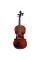 Скрипка STENTOR 1542/A GRADUATE VIOLIN OUTFIT 4/4