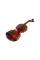 Скрипка STENTOR 1542/A GRADUATE VIOLIN OUTFIT 4/4
