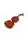Скрипка STENTOR 1542/C GRADUATE VIOLIN OUTFIT 3/4