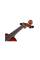 Скрипка STENTOR 1542/C GRADUATE VIOLIN OUTFIT 3/4