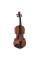 Скрипка STENTOR 1542/E GRADUATE VIOLIN OUTFIT 1/2