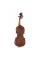 Скрипка STENTOR 1542/E GRADUATE VIOLIN OUTFIT 1/2