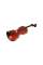 Скрипка STENTOR 1550/A CONSERVATOIRE VIOLIN OUTFIT 4/4