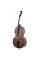 Контрабас STENTOR 1951/C STUDENT DOUBLE BASS 3/4