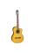 Класична гітара Takamine GC1CE-NAT