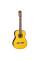 Класична гітара Takamine GC5 NAT