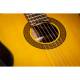 Классическая гитара Takamine GC5 NAT Классическая гитара Takamine GC5 NAT