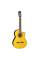 Класична гітара Takamine GC5CE NAT