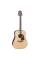 Акустическая гитара Takamine GD93 NAT