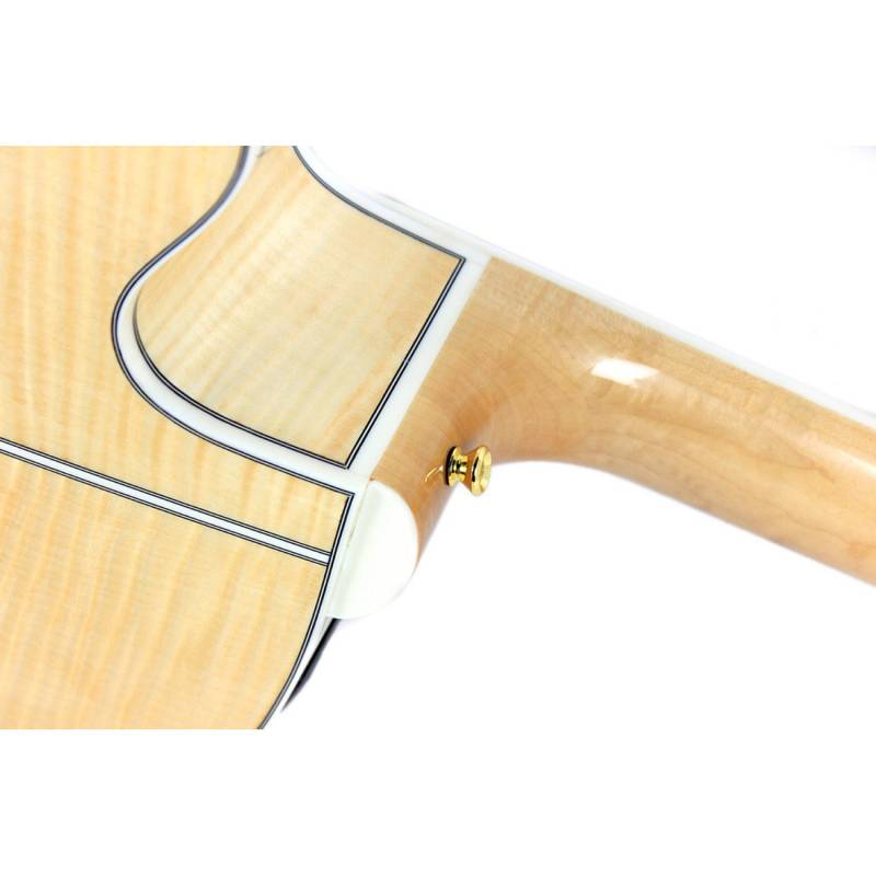 Електроакустична гітара Takamine GJ72CE-12NAT