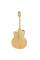 Електроакустична гітара Takamine GJ72CE-NAT