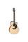 Електроакустична гітара Takamine GX18CE-NS