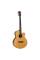 Електроакустична гітара TANGLEWOOD TJ4 CE