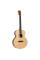 Акустична гітара TANGLEWOOD TM3
