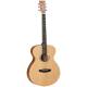Акустическая гитара TANGLEWOOD TR3