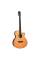 Акустична гітара TANGLEWOOD TRS4 CE