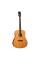 Електроакустична гітара TANGLEWOOD TRS5 SE