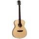 Акустическая гитара TANGLEWOOD TS3