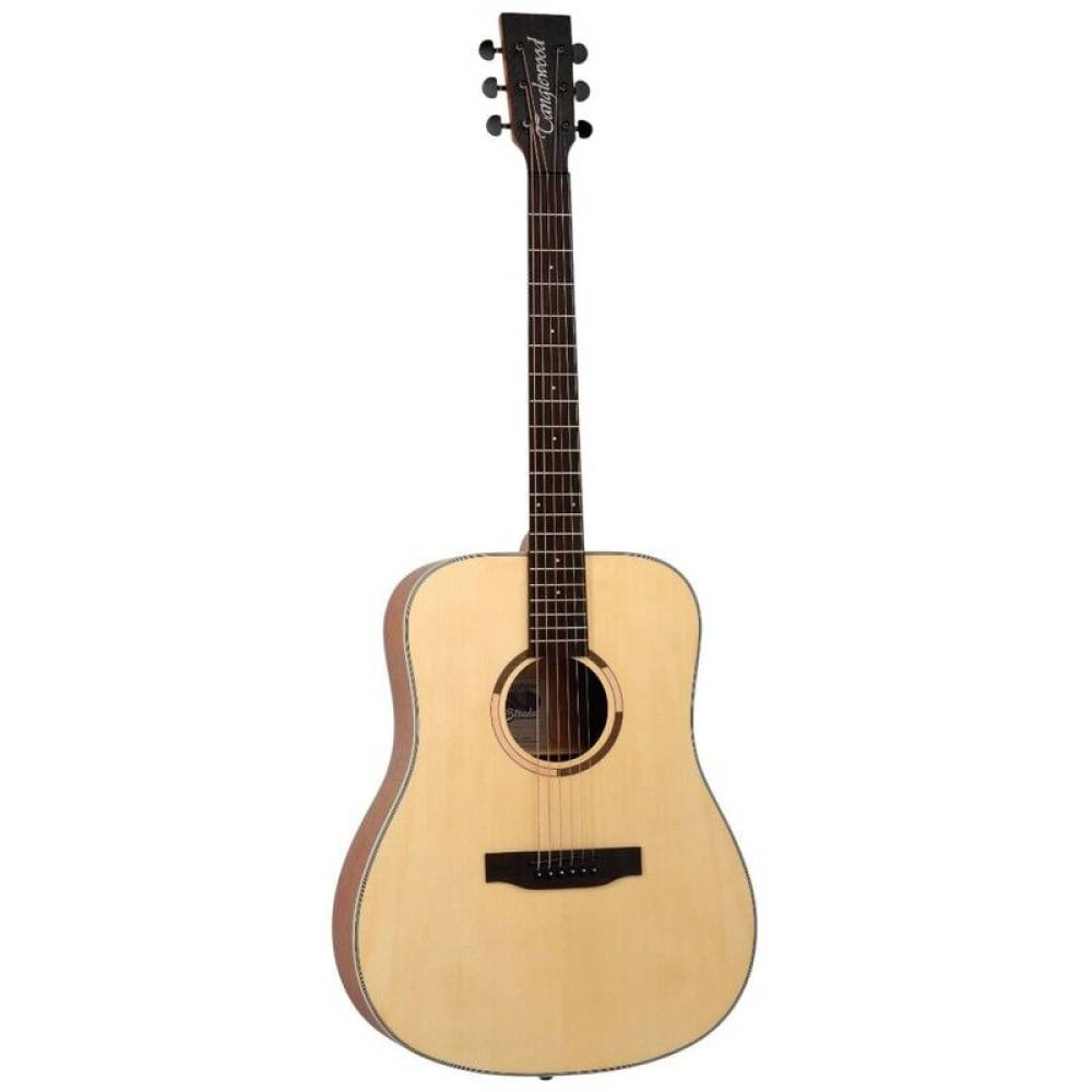 Акустична гітара TANGLEWOOD TS5