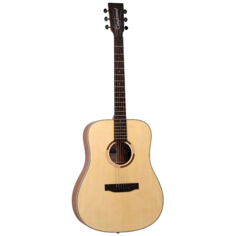 Акустическая гитара TANGLEWOOD TS5